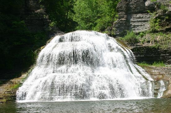 Robert H. Treman State Park Lower Falls